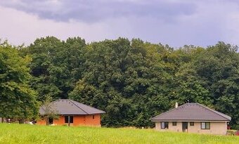 Novostavba 4+kk v přírodě, pozemek 1700m2