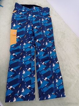 Zimní dětské kalhoty na lyže Dare 2b, vel.b140