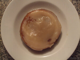 kombucha, čajová houba včetně nálevu