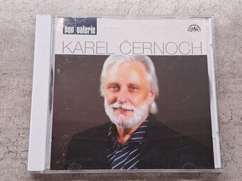 KAREL ČERNOCH - POP GALERIE