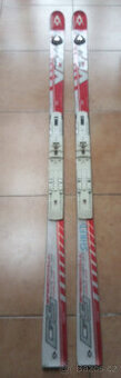VOLKL RACETIGER GS UVO, woodcore, deska, tlumič