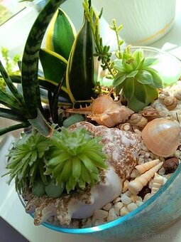 Florarium/kompozice ze sukulentu ve skle - 1