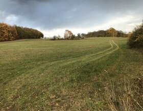 pronájem louky cca 24.000m2 chov koni