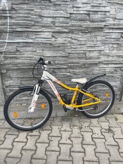 Dětské kolo Specialized Hotrock 24