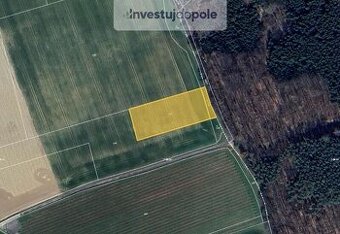 Prodej pole v k.ú. Štíhlice - 1