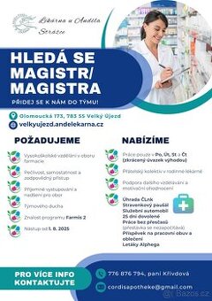 🔵 HLEDÁ SE MAGISTR / MAGISTRA 🔵