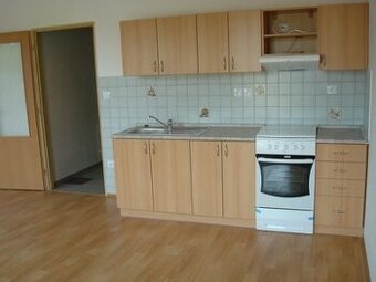 Pronájem bytu 1KK, Brno- Dačického