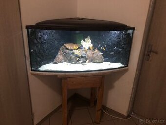 Prodám Akvarium S vybavením