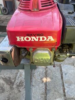 Honda GXV 160 , Vari - Terra