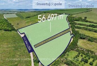 Exkluzivní prodej vinohradu v k.ú. Šardice (výměra 5,6 ha) - 1