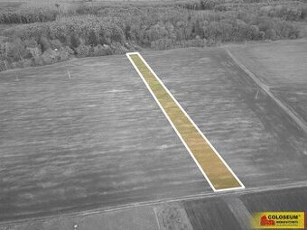Přísnotice, prodej pozemku pro bydlení, 3 803 m², výhodná in