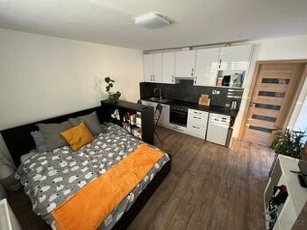 Pronájem bytu 1+kk na Slovanech, ulice Zahradní, Plzeň