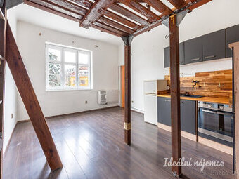 Pronájem bytu 1+kk, Michelská, Michle, 13800Kč/měs, 25 m2