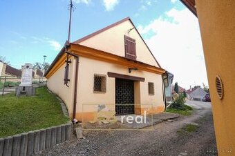 Prodej vinného sklepa 140 m², Velké Hostěrádky