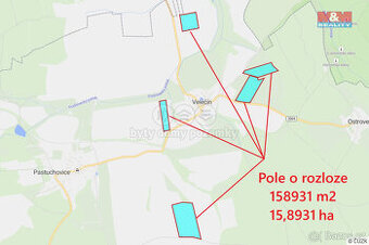 Prodej pole, 158931 m², Velečín - 1