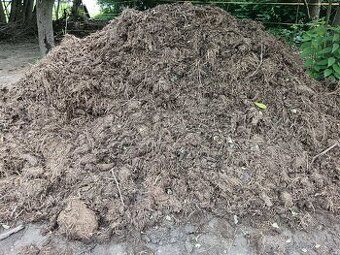 Daruji koňský hnůj