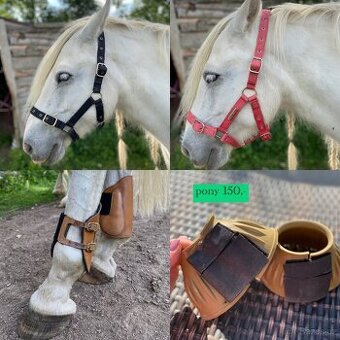 Ohlávky cob,pony, zadní chrániče, zvony