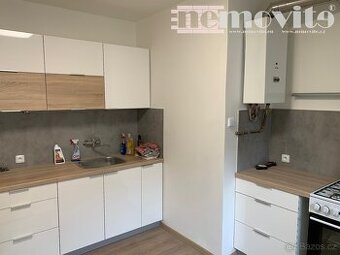 Pronájem bytu 2+1 60 m2, Hradec Králové - Slezské Předměstí