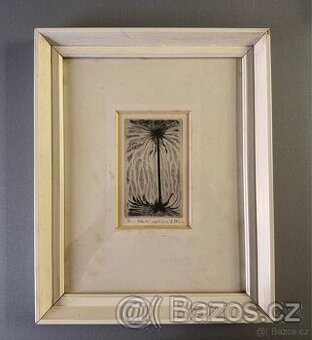 Obraz D.Tůma Grafika