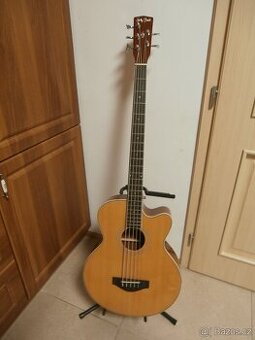 Akustická baskytara Haley Beton B-5T