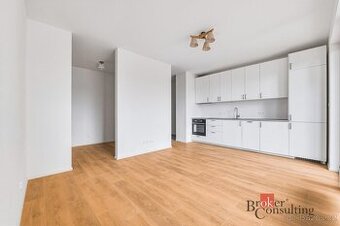 Pronájem, byty/1+kk, 42 m2, Zahradní 2854/2, Východní Předmě