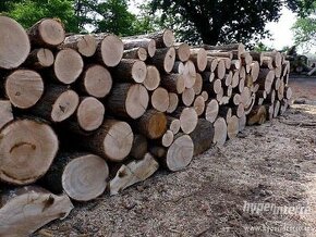 Dřevo na Topení