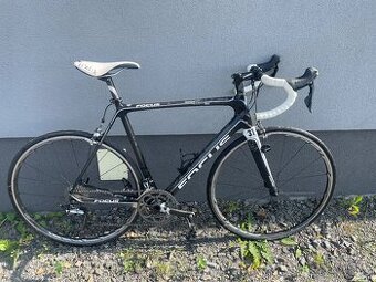 Focus Izalco