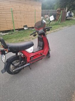 Prodám