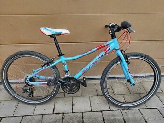 Kolo Superior Paint 24"