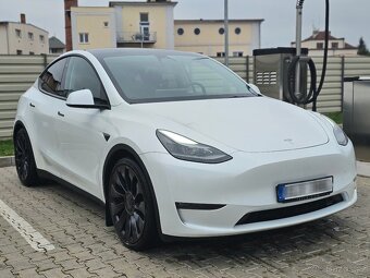 TESLA model Y Performance