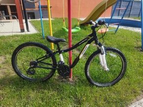 Specialized Hotrock 24"