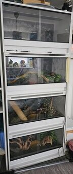 Prodám terarium/terarijní stěnu
