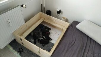 Porodní bedna pro psa 95x95x30