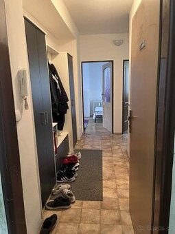 Pronájem bytu 2+1 s balkonem, 54m2 - 1