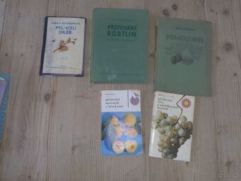 Včelařství zahrada hrozny