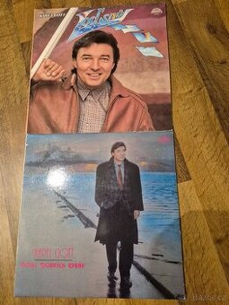 LP desky-Gott, D.Janda, Tučný,Queen, pohádky