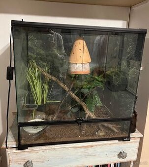 Terárium Repti planet