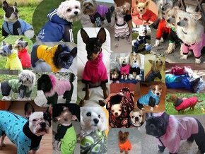 Prodám zavedenou firmu - výroba oblečků pro psy