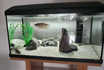 Akvárium set 54 l Cat-Gato set + akvarijní stolek