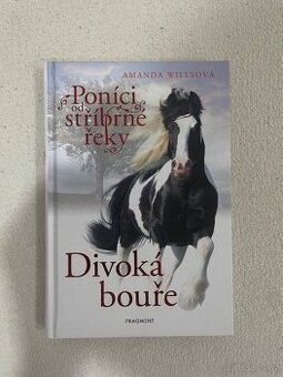 KNIHA - Divoká bouře