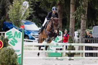 Klisna do sportu či k rekreaci