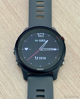 Garmin Forerunner 255