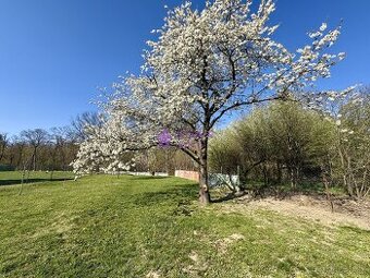 Pronájem zahrady, 1636 m² Olomouc