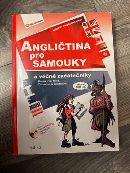 Angličtina pro samouky a věcné začátečníky