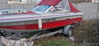 Loď SEA RAY, motor MERCRUISER s přívěsem RUSCHMEIER - 1