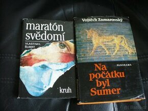 Na počátku byl Sumer, Maratón svědomí