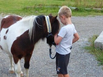 pony valášek