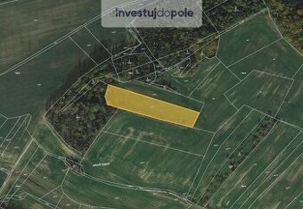 Prodej pole v k.ú. Pavlice - 1