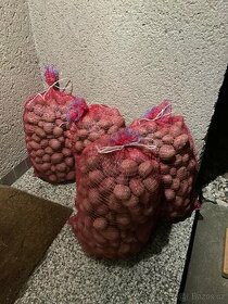 prodám brambory Red Anna, 14 Kč/Kg