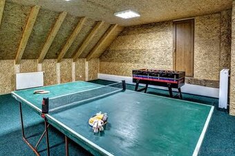 Stolní tenis, pinec pigpong Artis OSOBNĚ, PLATBA HOTOVĚ